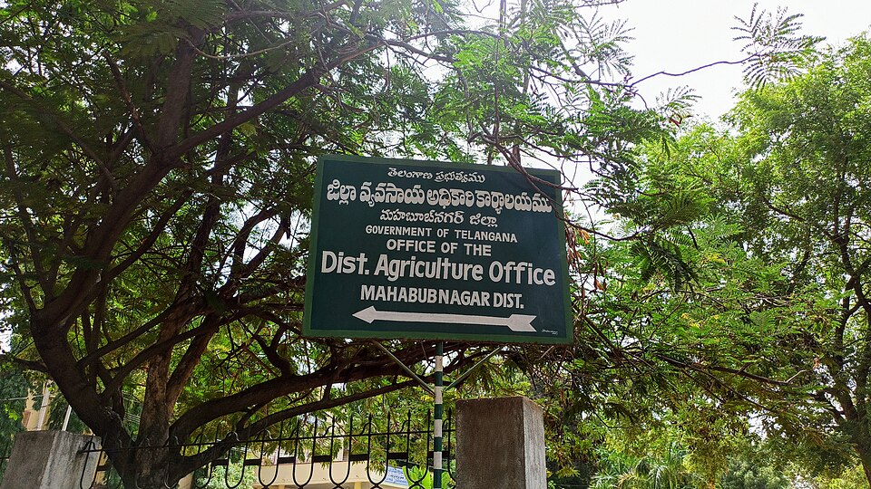 Mahabubnagar — local market for international and multi-region stores