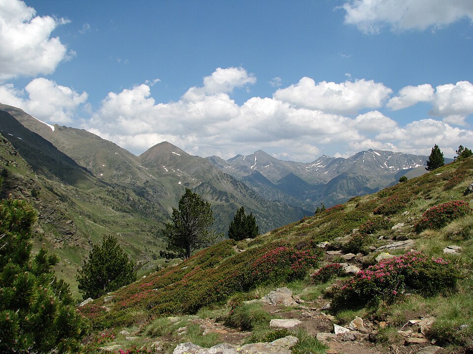 Andorra — custom e-commerce platforms for local businesses