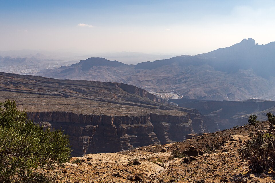 Oman — mobile commerce apps for local businesses