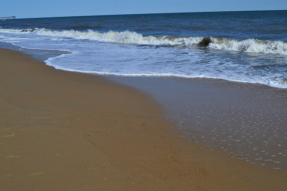 Virginia Beach — international and multi-region stores for local businesses