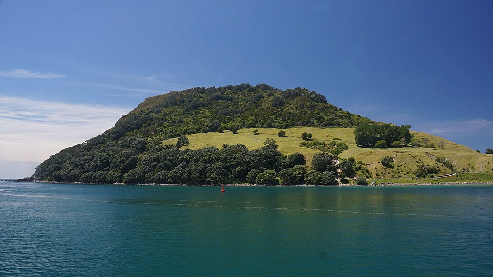 Tauranga — multi-vendor marketplaces for local businesses