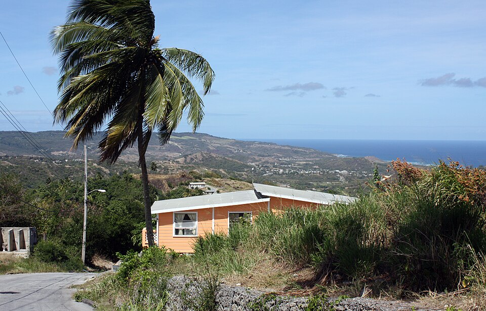 Barbados — local market for multi-vendor marketplaces