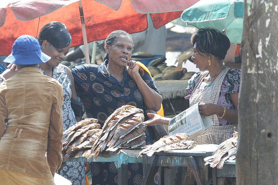 Kisumu — subscription and membership platforms for local businesses