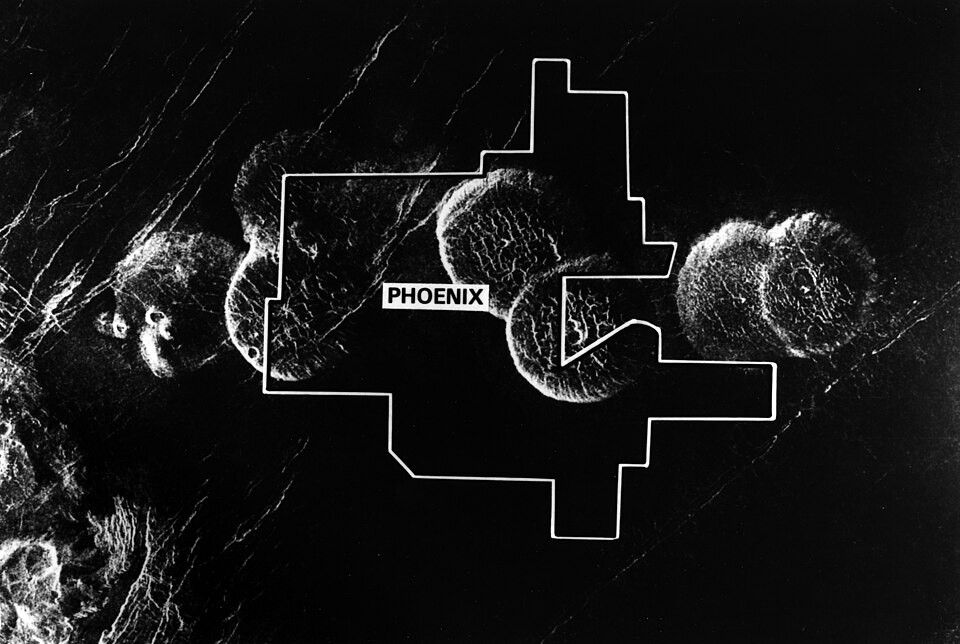 Phoenix — multi-vendor marketplaces for local businesses