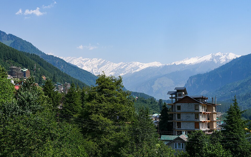 Manali — local market for custom e-commerce platforms