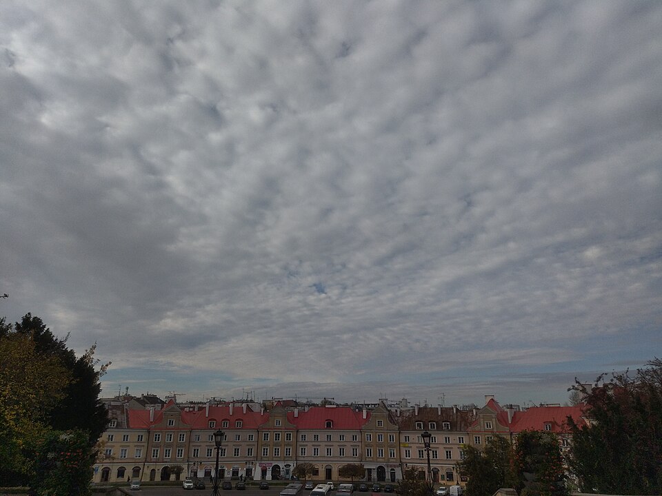 Lublin — local market for multi-vendor marketplaces