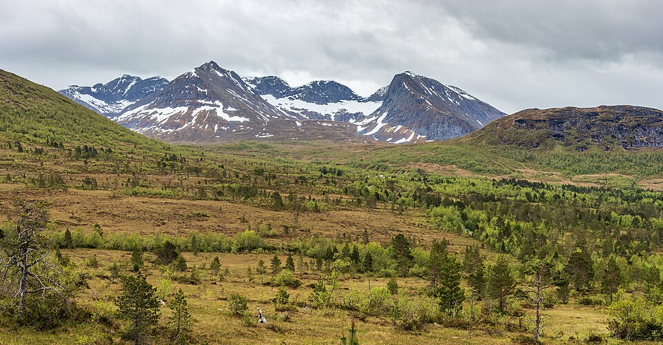 Norway — custom e-commerce platforms for local businesses