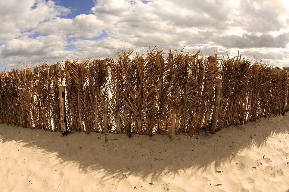 Uruguay — B2B and wholesale portals for local businesses