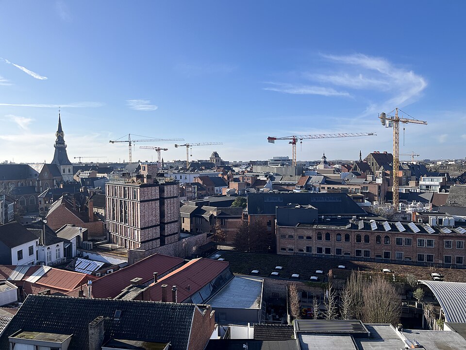 Hasselt — local market for service booking platforms