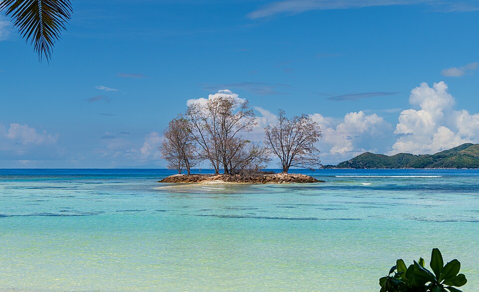 Seychelles — custom e-commerce platforms for local businesses