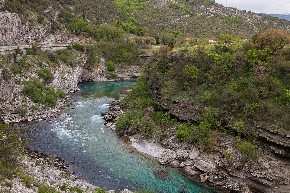 Podgorica — local market for multi-vendor marketplaces