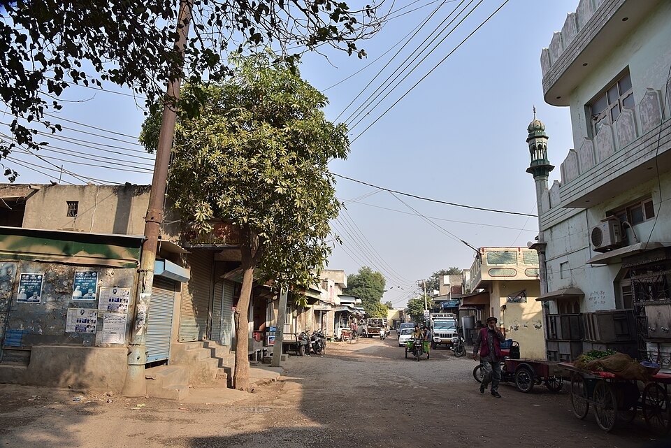 Malerkotla — local market for mobile commerce apps