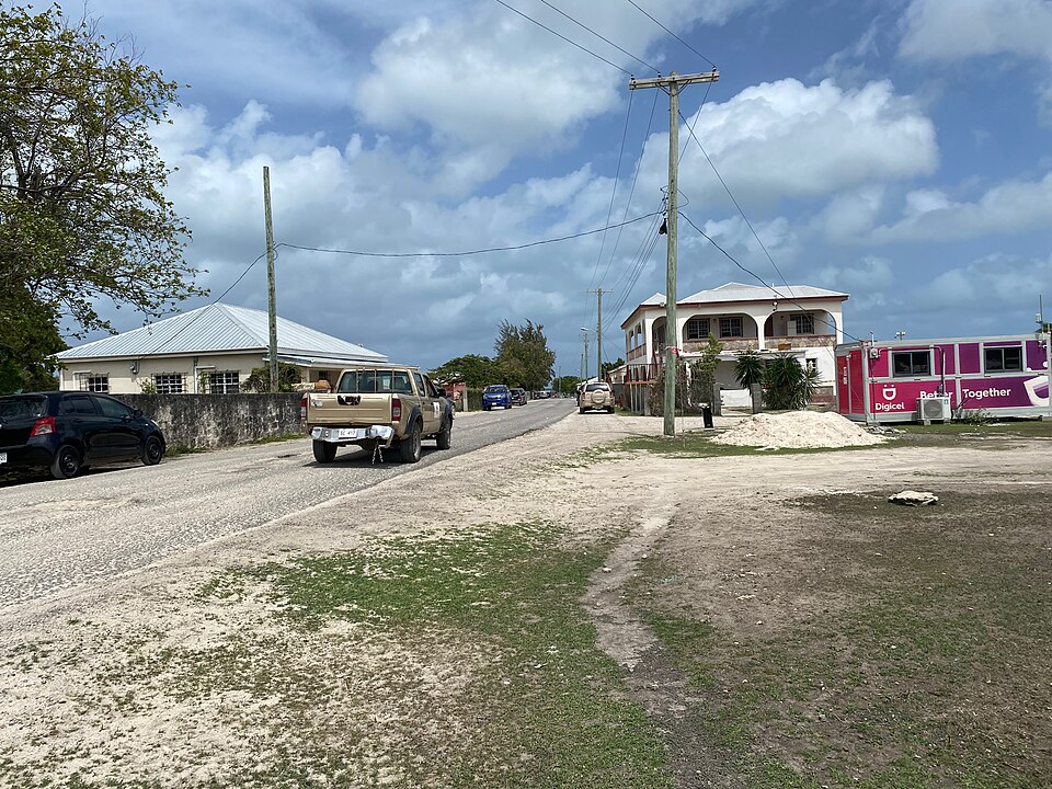 Codrington — custom e-commerce platforms for local businesses