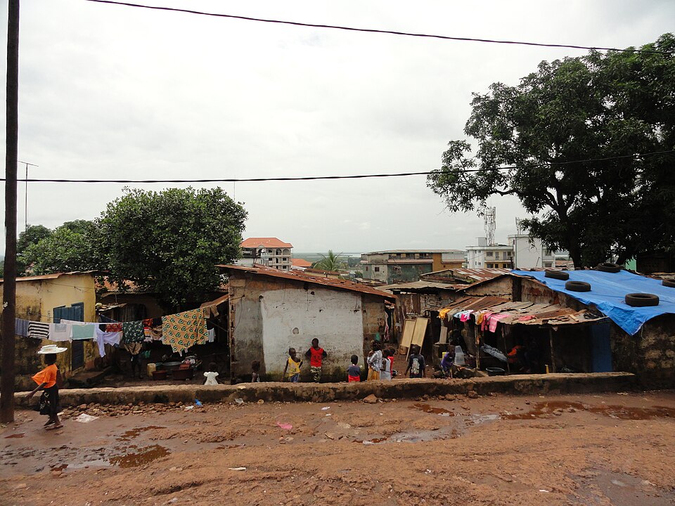 Conakry — manufacturer and distributor portals for local businesses