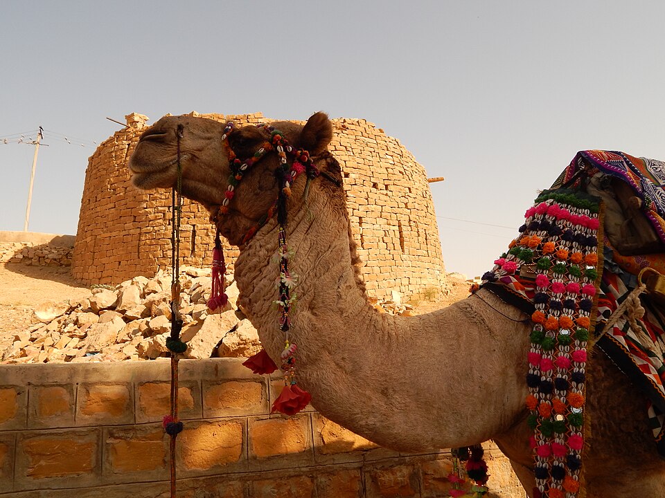 Jaisalmer — multi-vendor marketplaces for local businesses