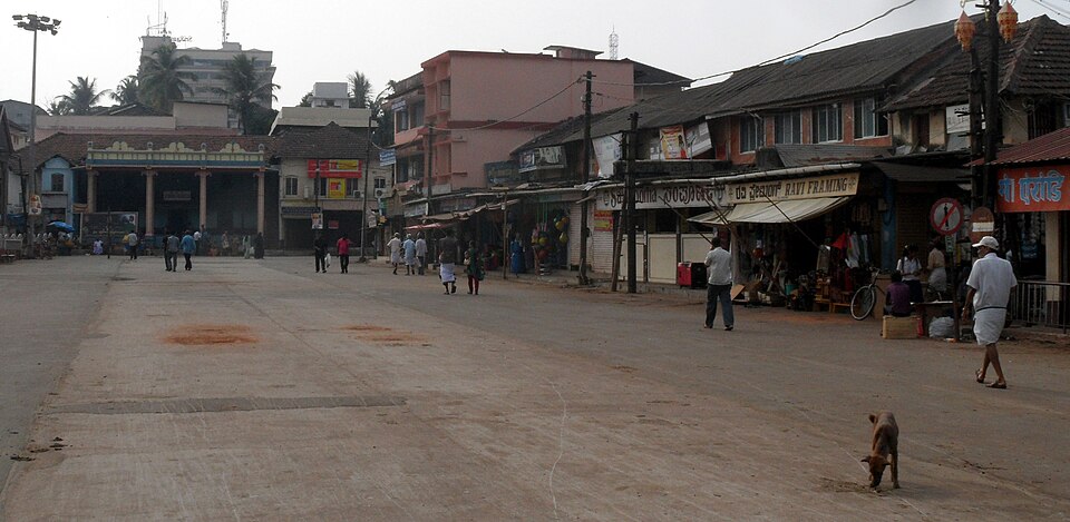 Udupi — local market for custom e-commerce platforms