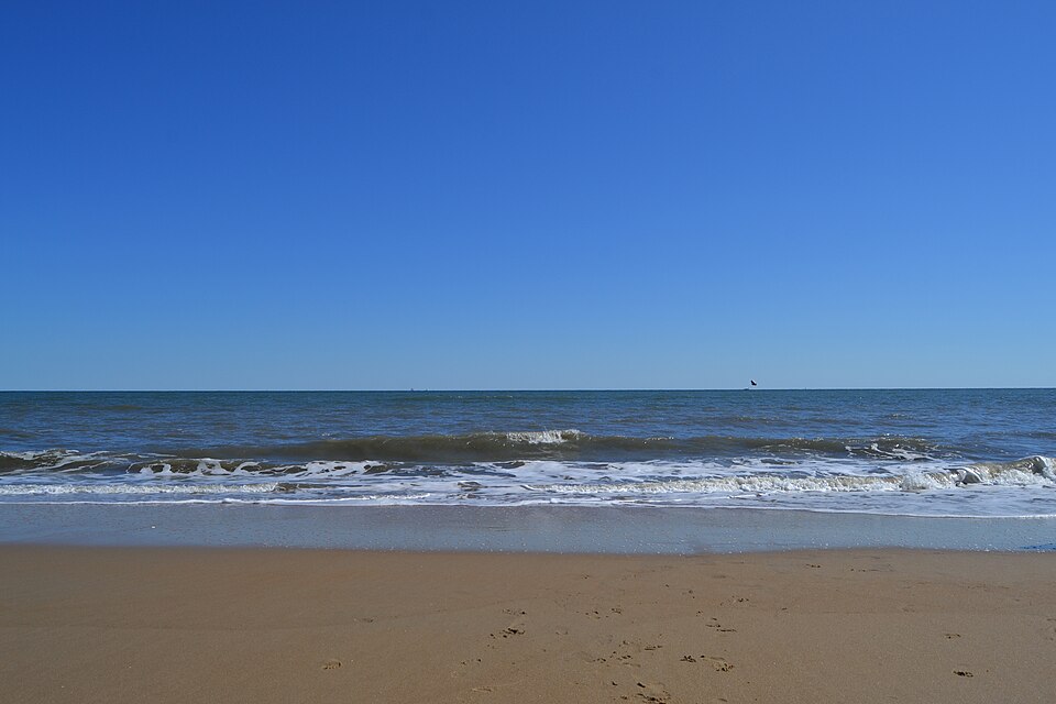 Virginia Beach — subscription and membership platforms for local businesses