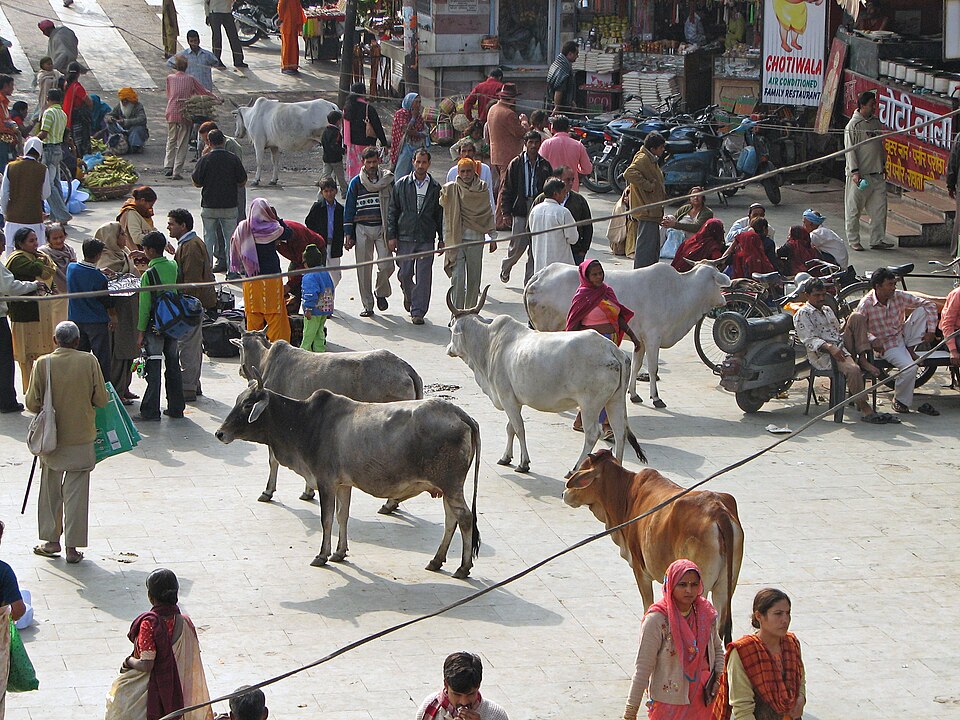 Haridwar — online stores for local businesses