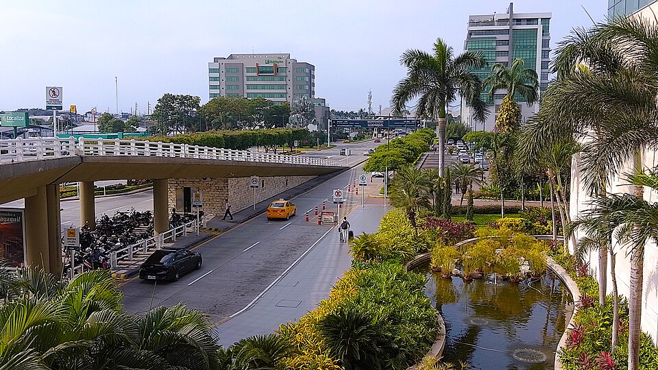 Guayaquil — custom e-commerce platforms for local businesses