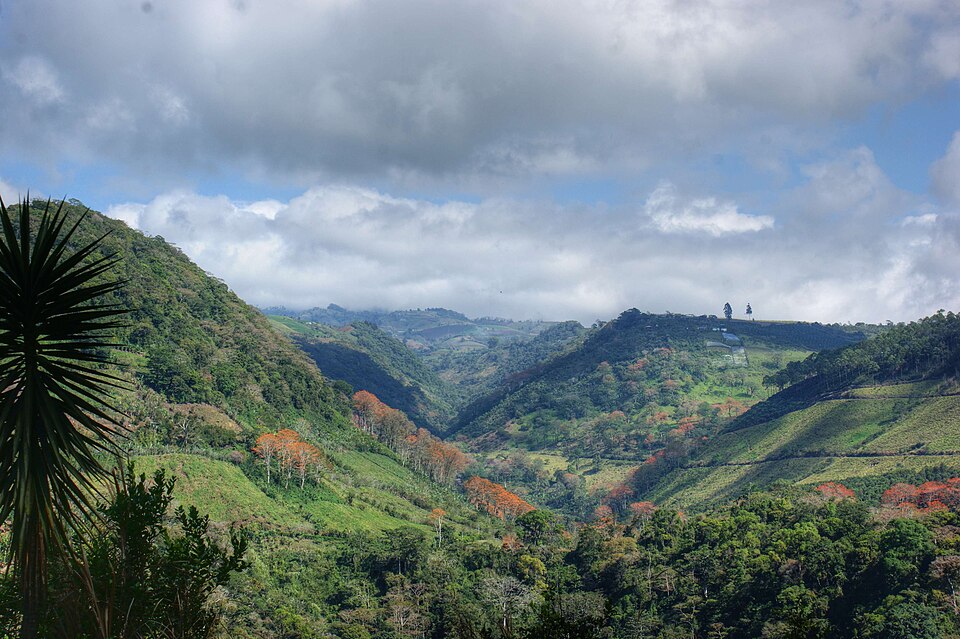 Cartago — multi-vendor marketplaces for local businesses