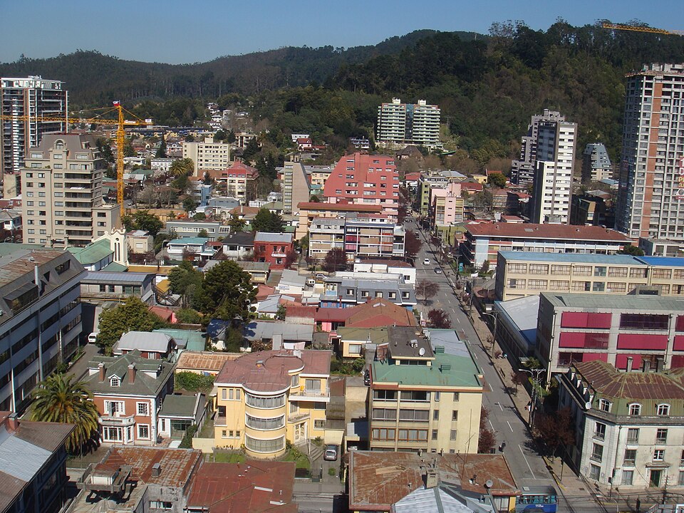 Concepción — multi-vendor marketplaces for local businesses