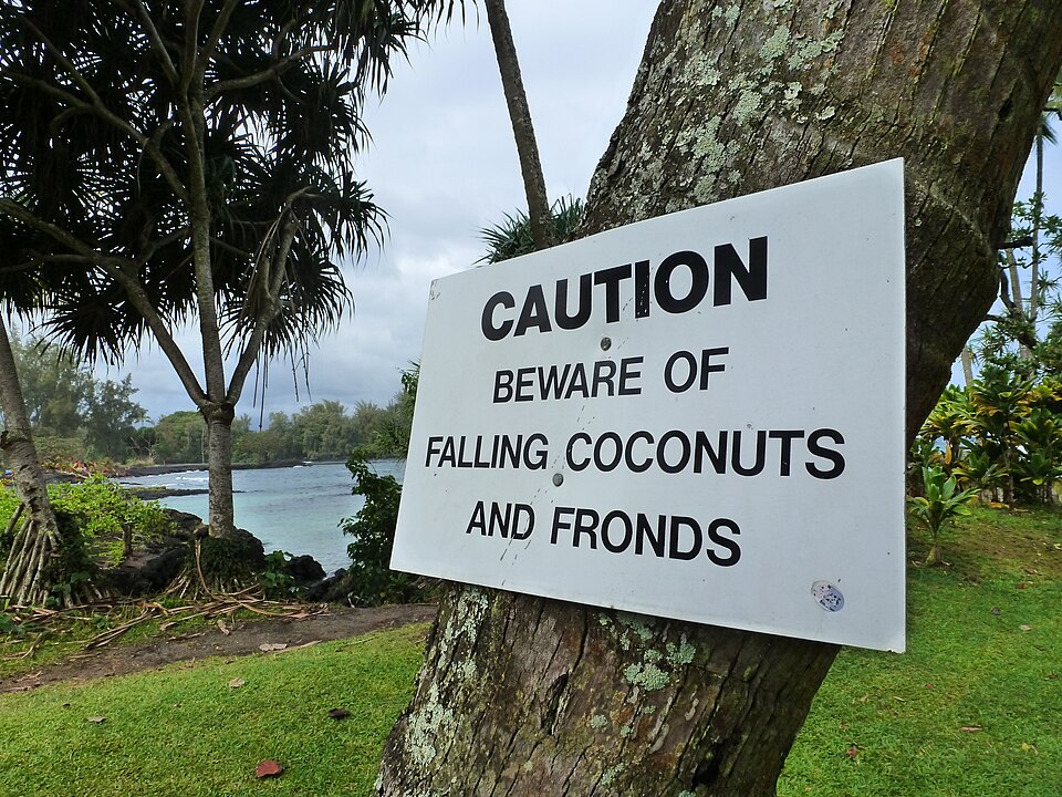 Hilo — international and multi-region stores for local businesses