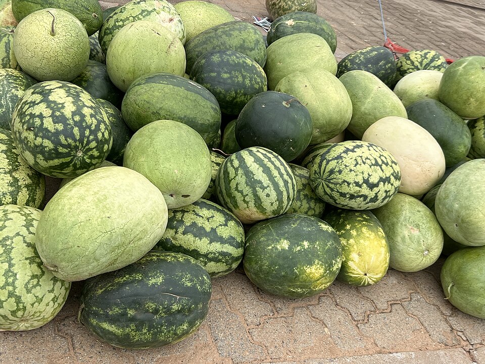 Palapye — local market for subscription and membership platforms