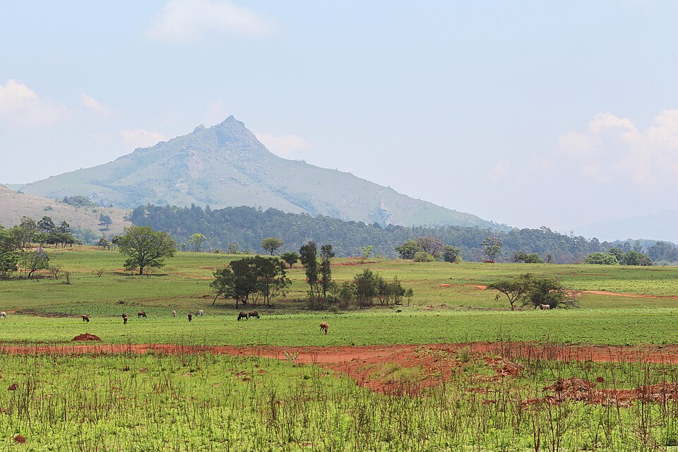 Eswatini — manufacturer and distributor portals for local businesses