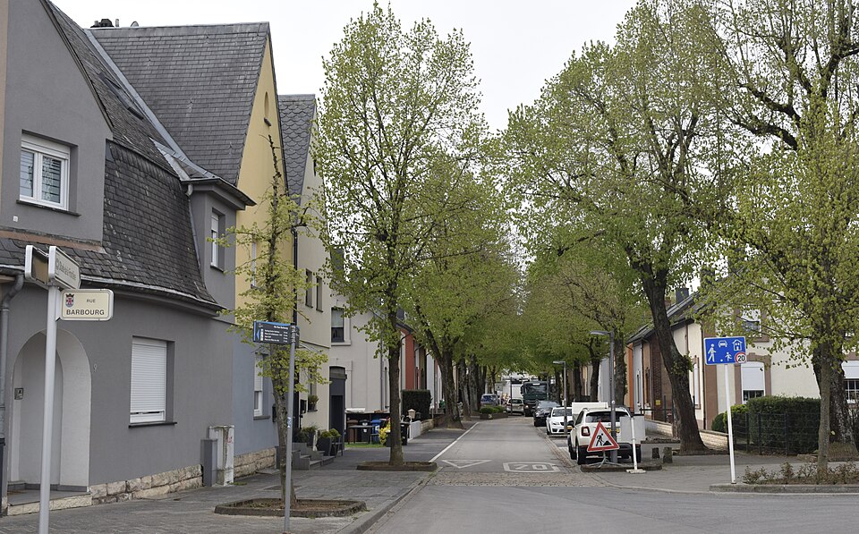 Esch-sur-Alzette — B2B and wholesale portals for local businesses