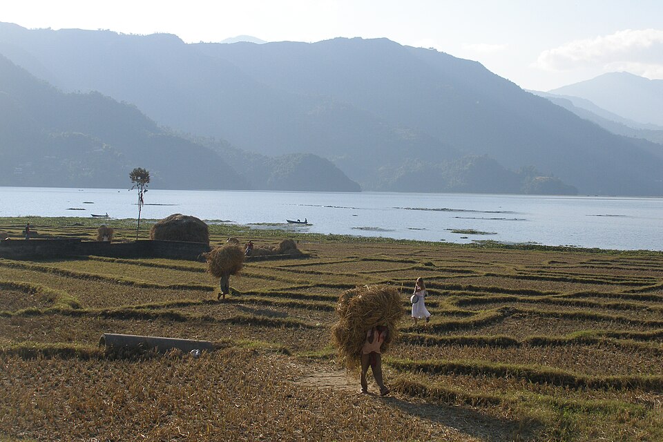 Pokhara — local market for subscription and membership platforms