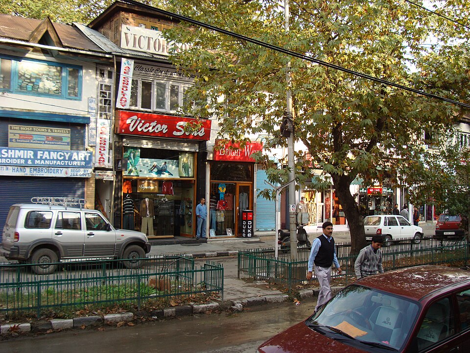 Srinagar — local market for service booking platforms
