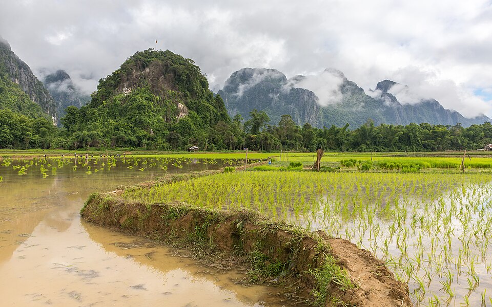 Vang Vieng — manufacturer and distributor portals for local businesses