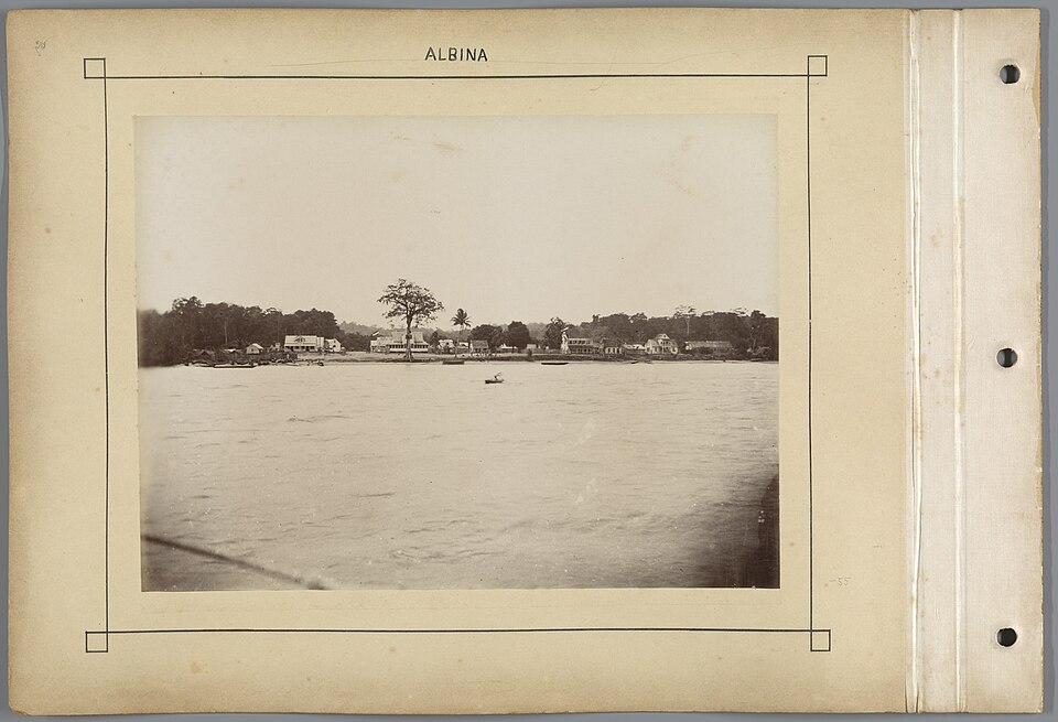 Albina — subscription and membership platforms for local businesses