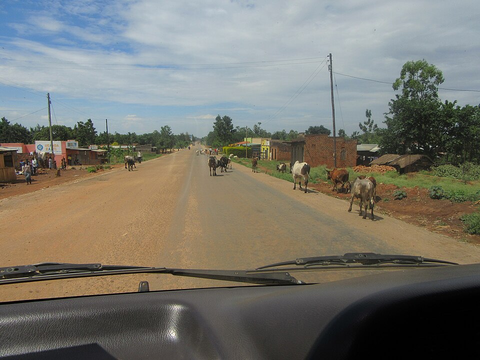 Mbale — local market for subscription and membership platforms