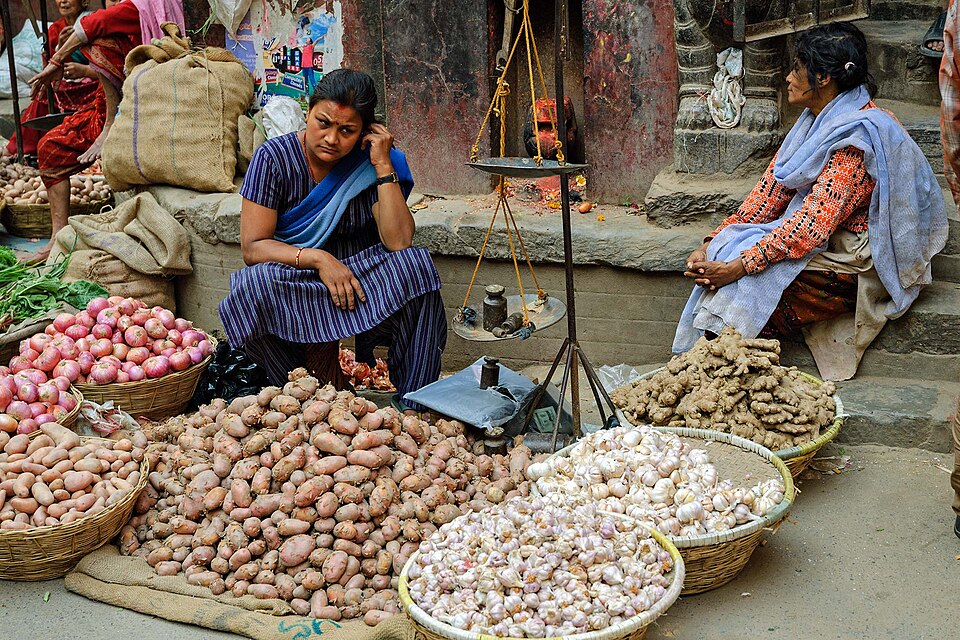 Kathmandu — service booking platforms for local businesses