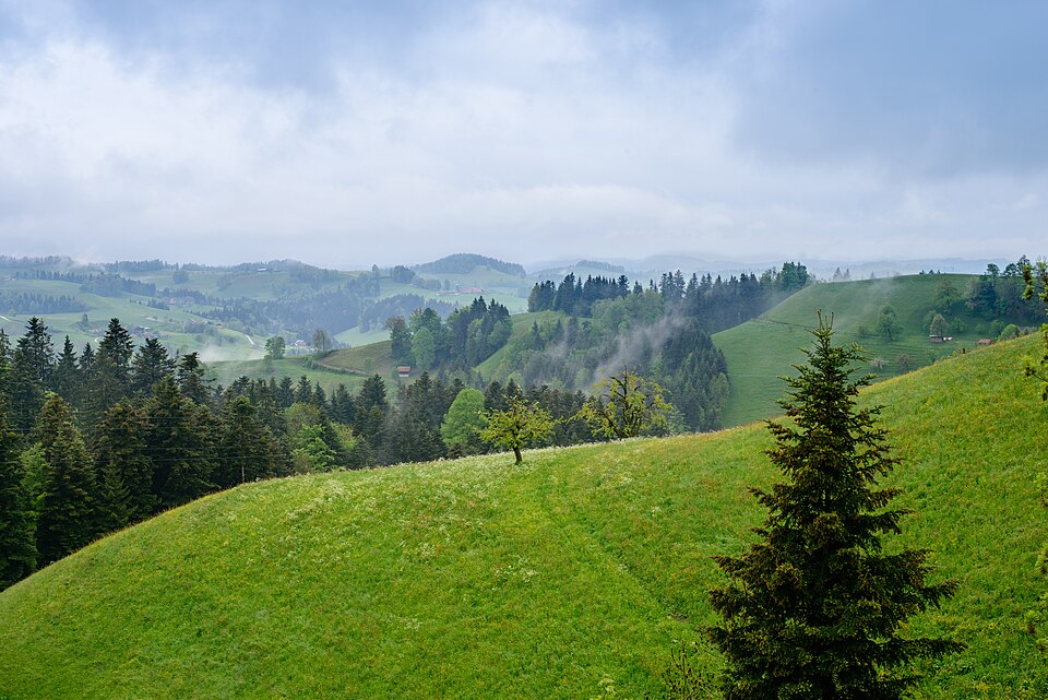 Switzerland — local market for multi-vendor marketplaces
