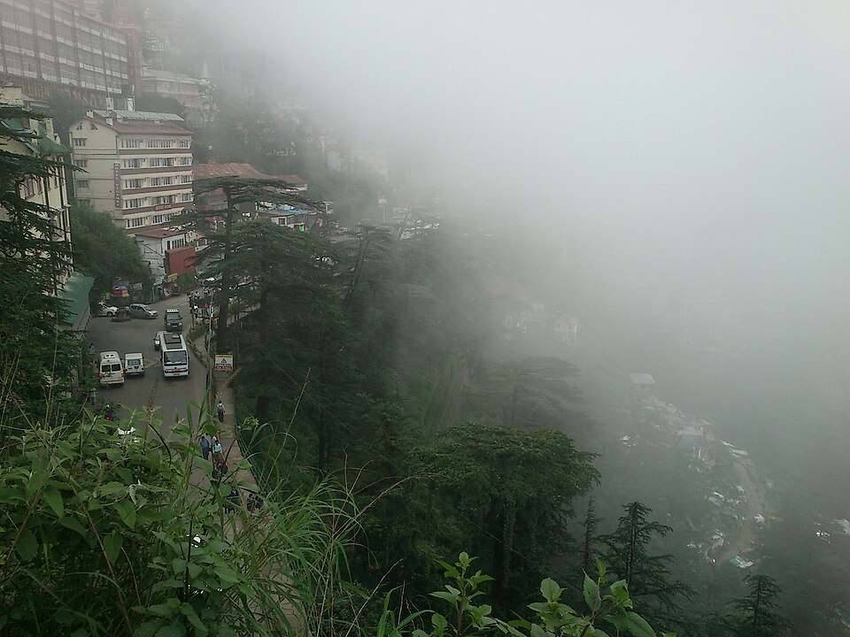 Shimla — mobile commerce apps for local businesses
