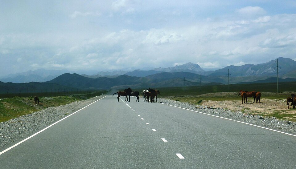 Kyrgyzstan — local market for mobile commerce apps