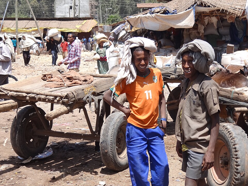 Bahir Dar — service booking platforms for local businesses