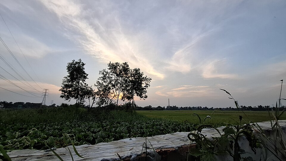 Narayanganj — online stores for local businesses