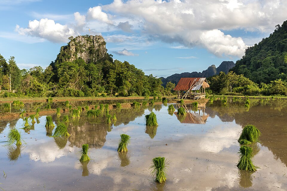 Vientiane — international and multi-region stores for local businesses