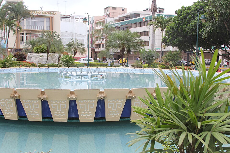 Machala — local market for subscription and membership platforms