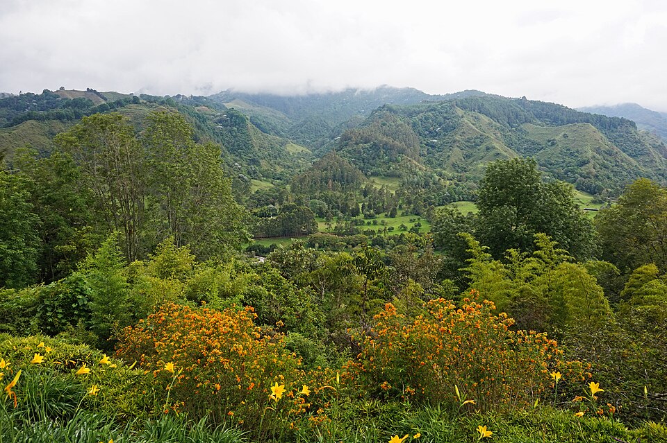 Colombia — local market for subscription and membership platforms
