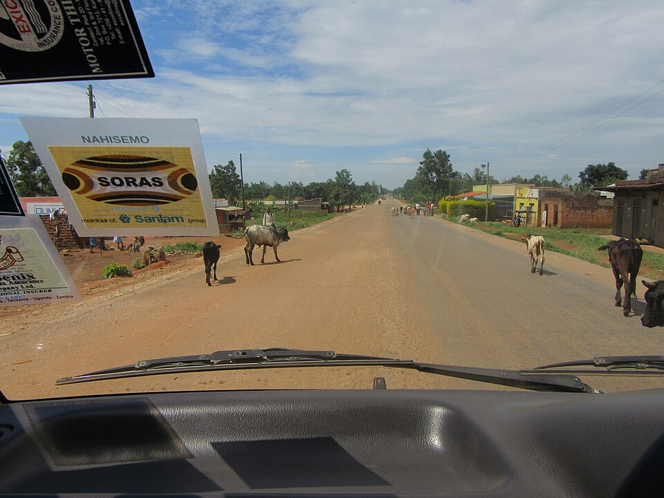 Mbale — local market for multi-vendor marketplaces