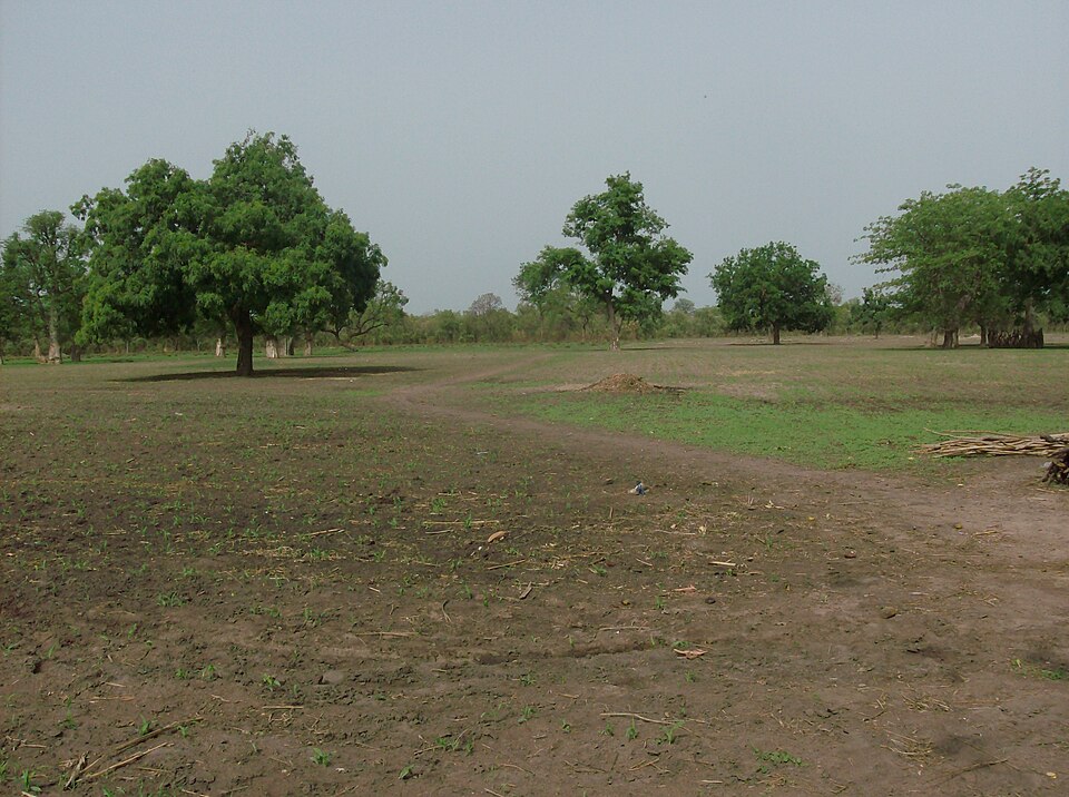 Senegal — local market for subscription and membership platforms