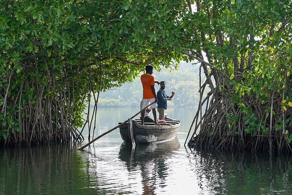 Kollam — local market for B2B and wholesale portals