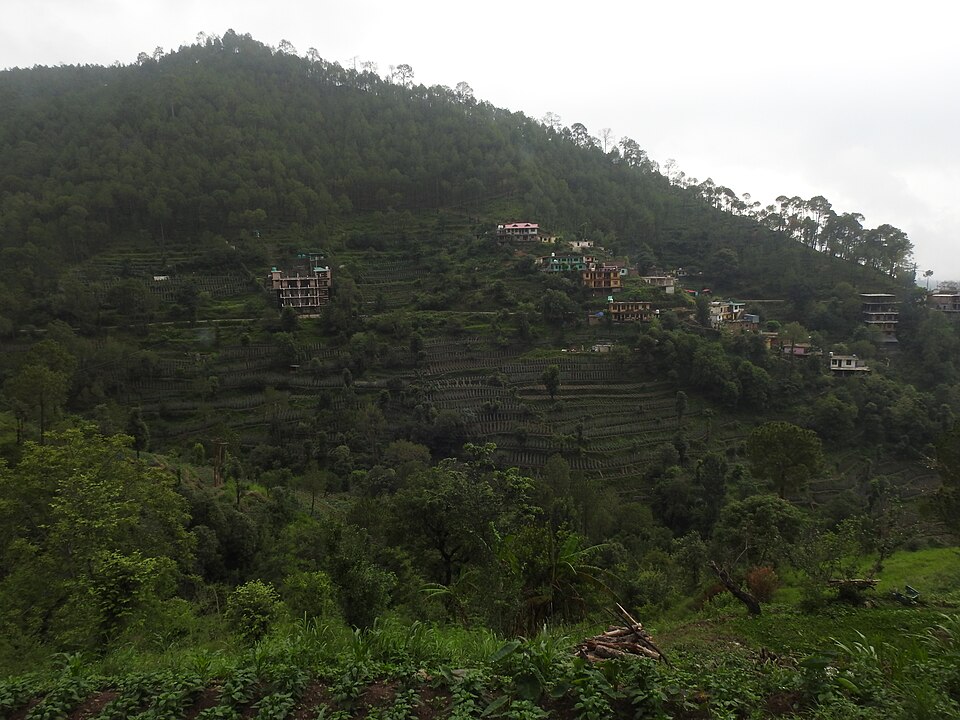 Solan — international and multi-region stores for local businesses