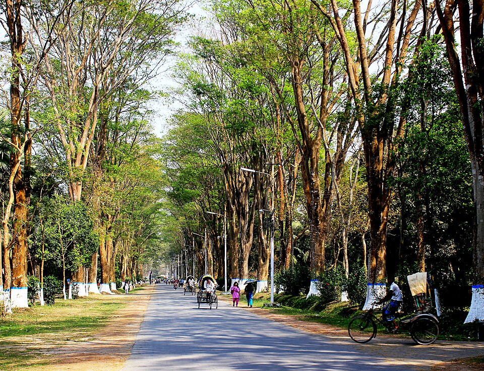 Rajshahi — subscription and membership platforms for local businesses