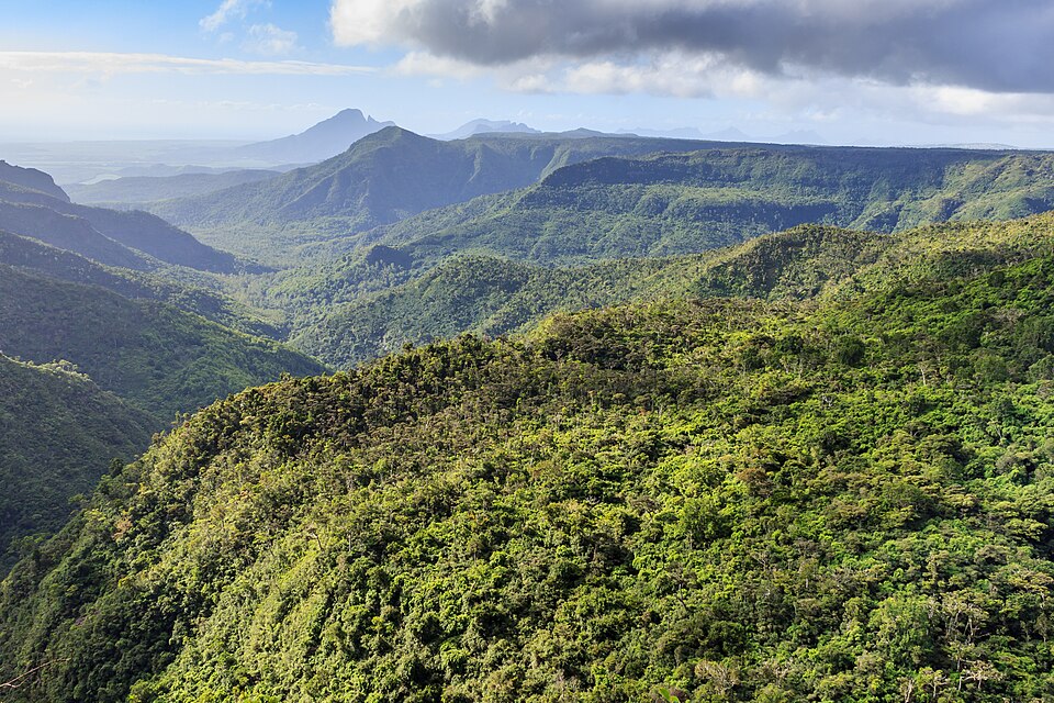 Mauritius — manufacturer and distributor portals for local businesses