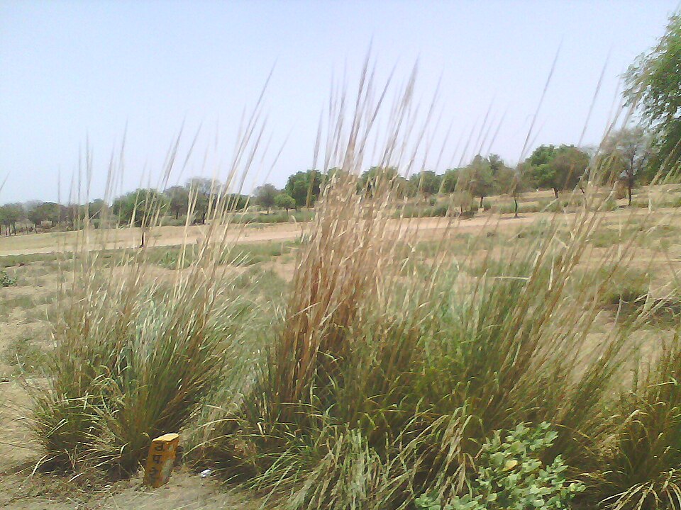 Alwar — local market for manufacturer and distributor portals